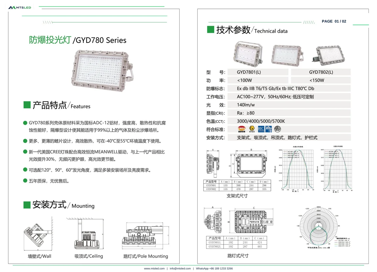 GYD780 Explosion-Proof Floodlight