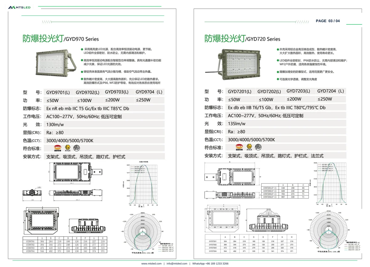 GYD970 GYD720 Explosion-Proof Floodlight