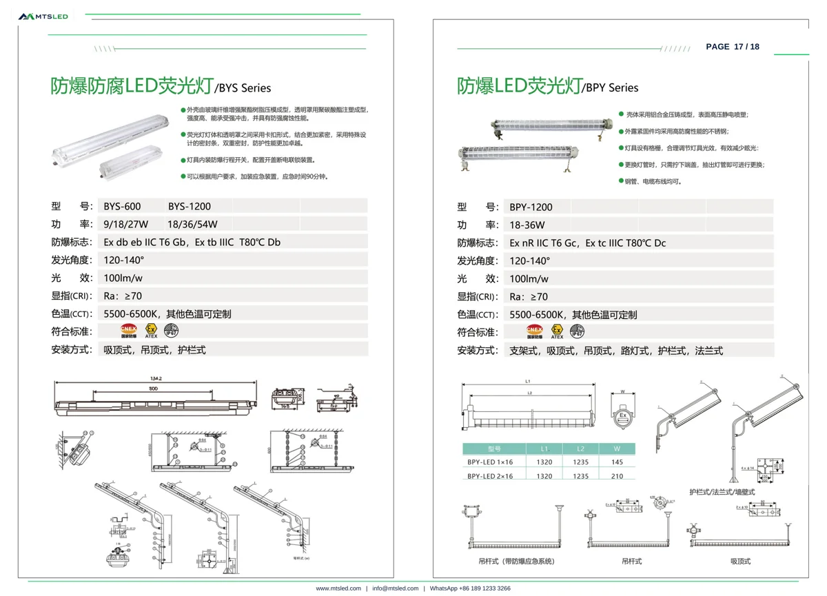 BYS BPY Explosion-Proof Fluorescent Light